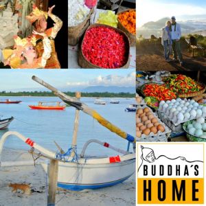 new_buddhas_home1-2.jpg